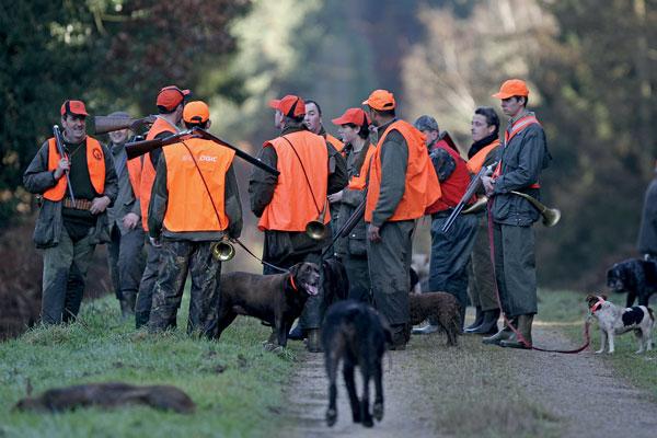 La chasse en battue : Tradition et enjeux d'une pratique ancestrale